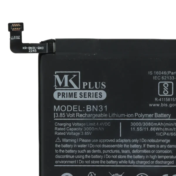 BN-31